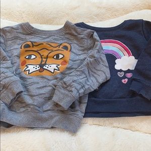 Lot of 2 Baby/Toddler Sweatshirts (tea collection)